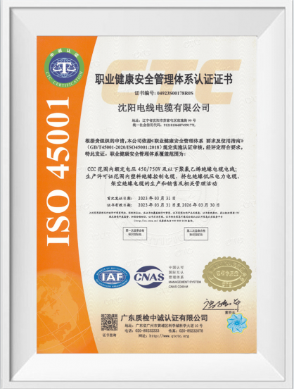 职业健全安全治理系统证书